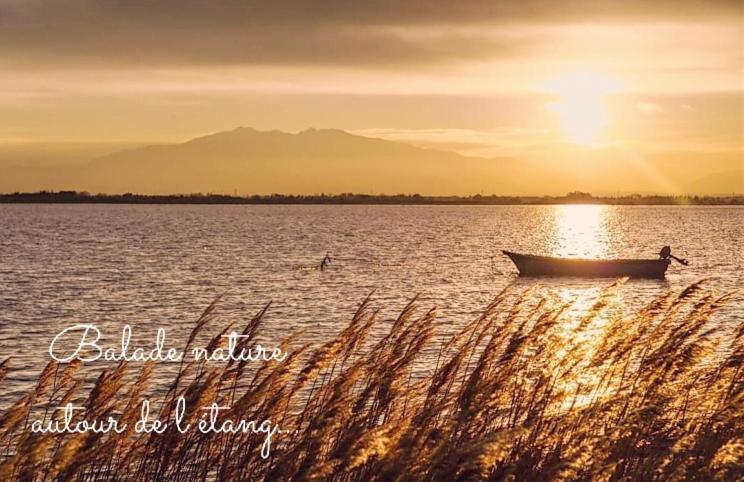 Escale Au Sud, Un Appart Les Pieds Dans L Eau :) Le Barcarès Exteriér fotografie